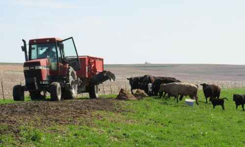 Wellman family farm recovers from tornado