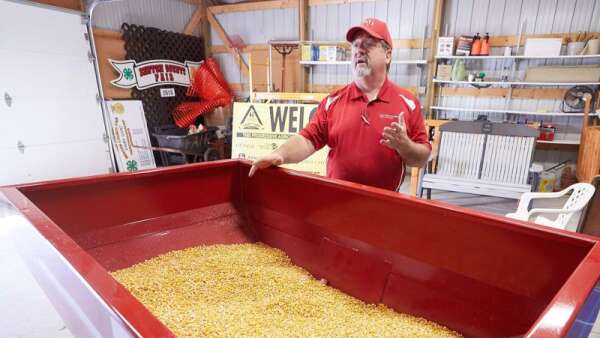 Farm income up as commodity prices jump