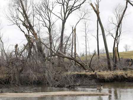 Crews to begin removing derecho debris from Linn County waterways