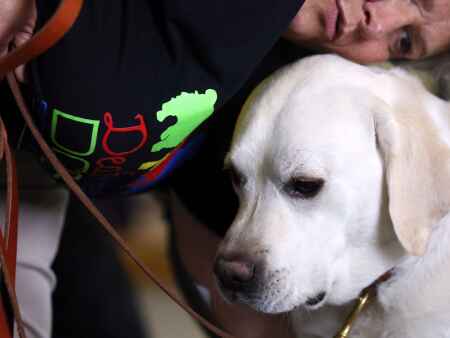 Pandemic shifts service dogs to mental health needs