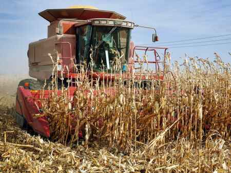 How did Iowa crops fare in another year of drought?