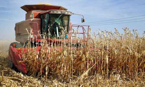 How did Iowa crops fare in another year of drought?