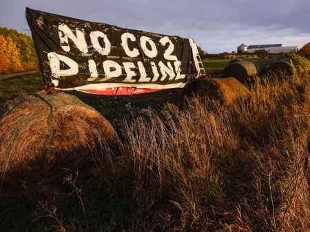 Survey reveals candidate opposition to eminent domain for CO2 pipelines