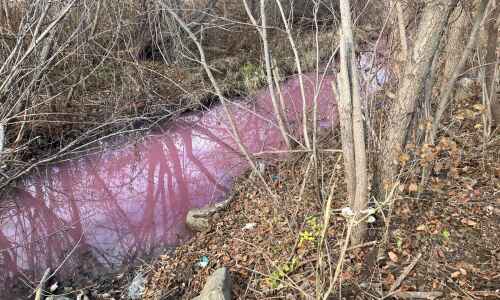 What turned a Coralville creek pink?
