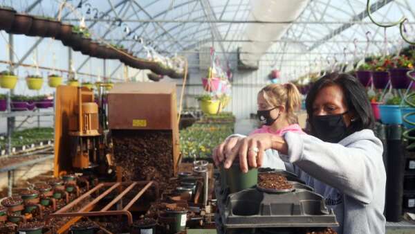 The gardener’s gardener is ready for spring at Fairfax Greenhouse