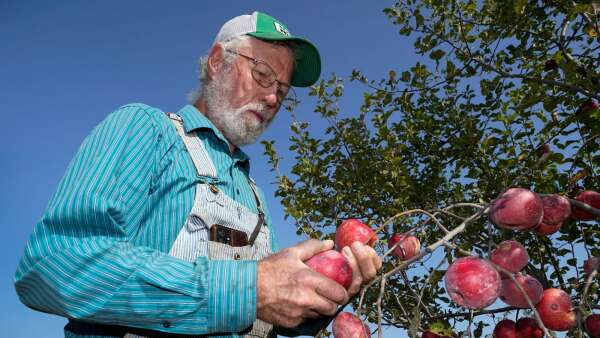 More consumers buying organic, but farmers still wary