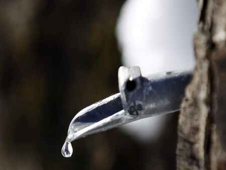 Jefferson County Conservation to host ‘Tap the Sap’