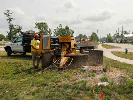 C.R. purchases new stump grinder to aid in derecho recovery