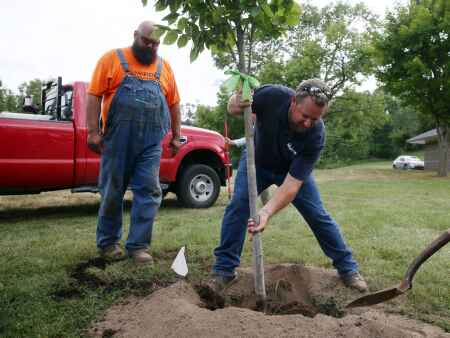 Marion arborist wins national award for derecho recovery efforts