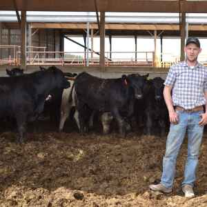 Jordan Morris expanding quickly in beef industry