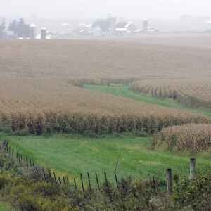 How might rising interest rates impact Iowa farmland values?
