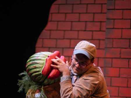 ‘Little Shop of Horrors’ cooks up blood-thirsty fun