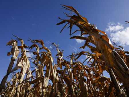 Rain shrinks area of extreme drought in Eastern Iowa