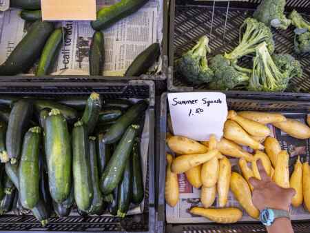 More entertainment, vendors return to Cedar Rapids, Iowa City farmers markets