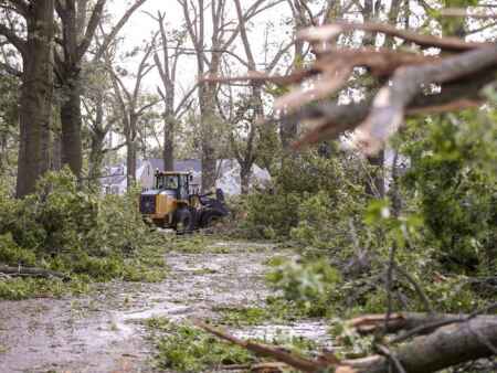 Getting ready to re-landscape after the derecho? Not so fast