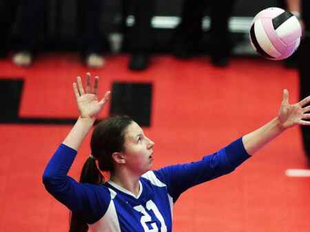 State volleyball: 1A capsules