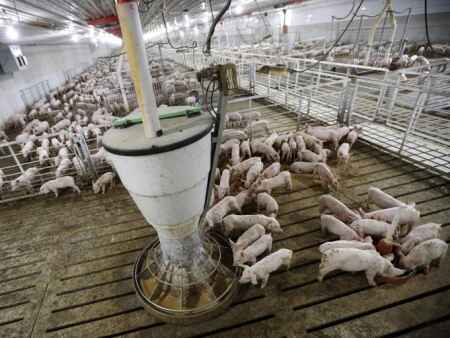 Hinson, Iowa pork producers want Congress to intervene on a California 'bacon ban’