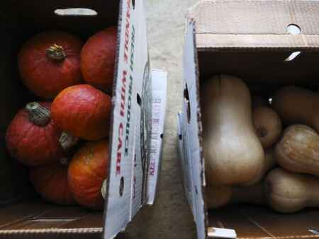 Iowa City Farmers Market season will be extended into December