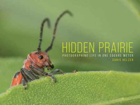 Ecologist captures life on the prairie, one photo at a time in new book, “Hidden…