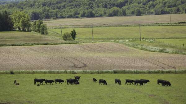 Iowa’s farm owners getting older