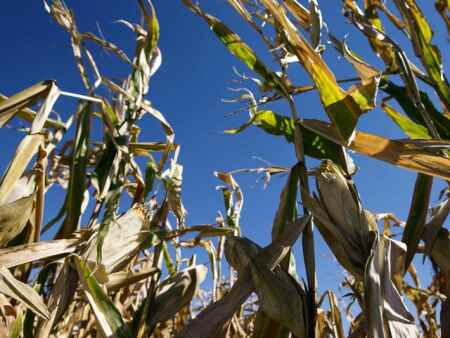 Iowa drought retreats — except in the northwest