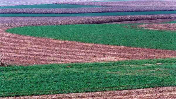 Big corn, soybean crops gets bigger in Iowa, nationwide