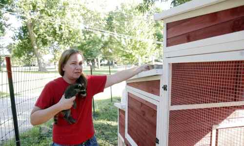 Emotions stir over Cedar Rapids crackdown on neighborhood wildlife rehab