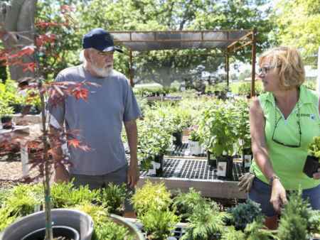 Local garden centers see surge in stuck-at-home customers investing in their yards