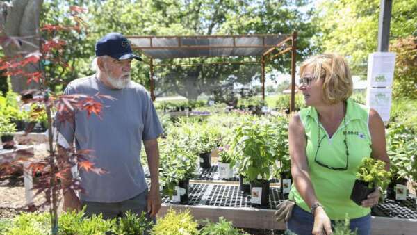 Local garden centers see surge in stuck-at-home customers investing in their yards