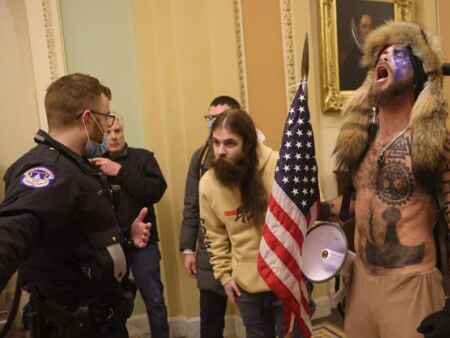 From Baked Alaska to a guy with horns: notable riot arrests