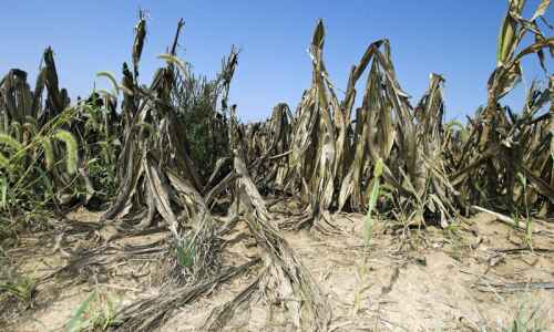 Drought conditions persist in Iowa