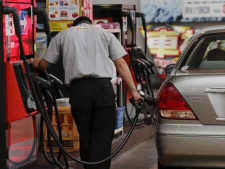 Low gasoline prices expected to continue