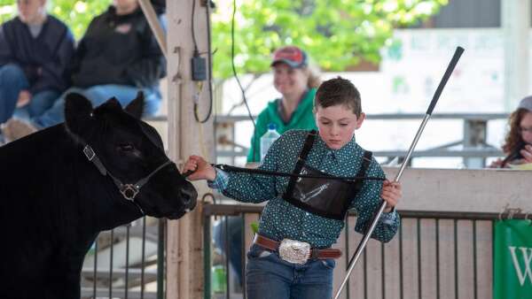Washington County Fair will debut new beef event