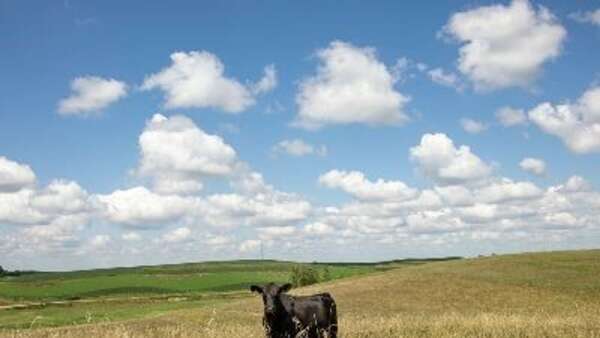 Historic jumps in Iowa farmland values, cash rents: USDA surveys