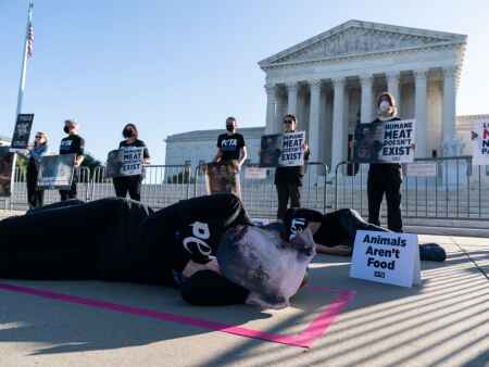 Justices weigh California law on pigs