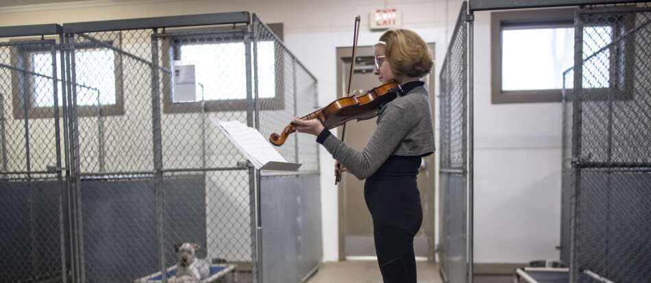 This 11-year-old plays her violin for people and animals