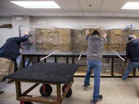 Driftless Center gets new large-scale aquarium for Mississippi River fish