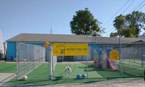 Charitable grant provides air conditioning, shed for Dogs Forever shelter