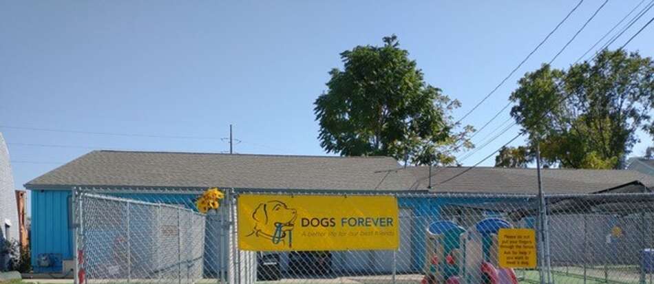 Charitable grant provides air conditioning, shed for Dogs Forever shelter