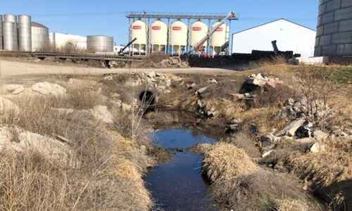 Iowa DNR finds no living fish in fertilizer-contaminated river