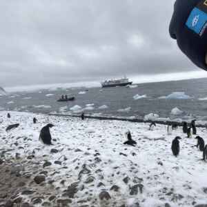 Antarctic adventure