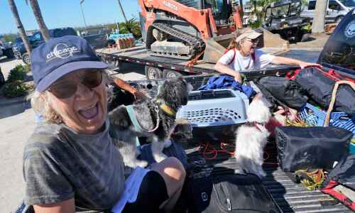 Dog-lover Hlastradamus rides with underdog Hawkeyes, Cyclones