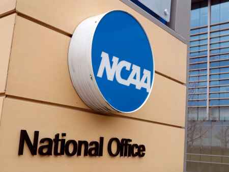 NCAA has not taken sports gambling cases lightly