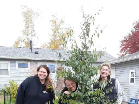 New Trees Forever programs encourage post-derecho replanting on private land