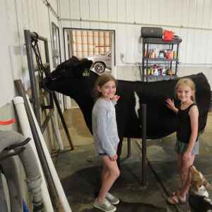 For Holmes family, cattle cross generations