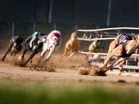 Iowa greyhound racing nears end