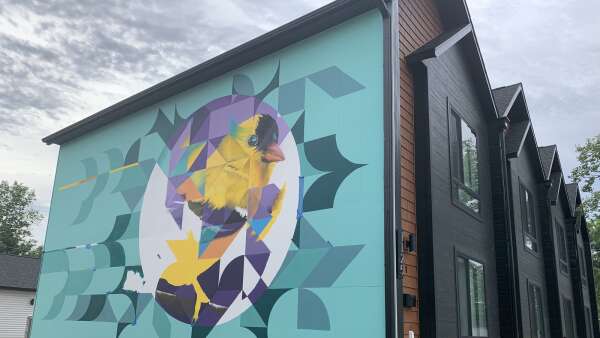 Maryland artists add two murals to Time Check neighborhood