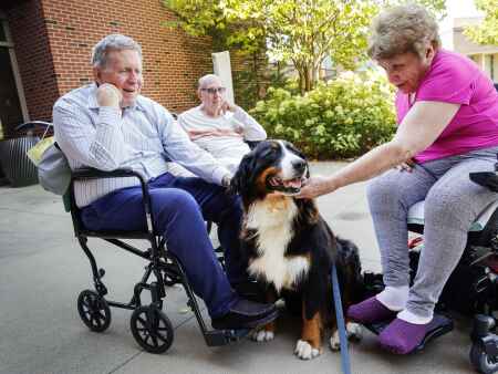 Meet Hope the therapy dog, Mercy Hallmar’s new resident