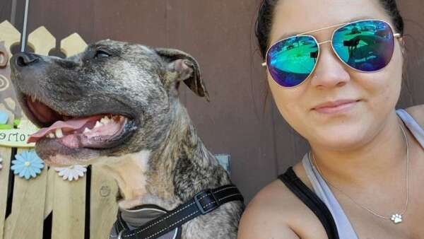 Keystone pit bull owners will keep their dogs