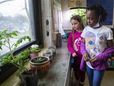Cedar Rapids schools’ ‘green teams’ empower students to help environment